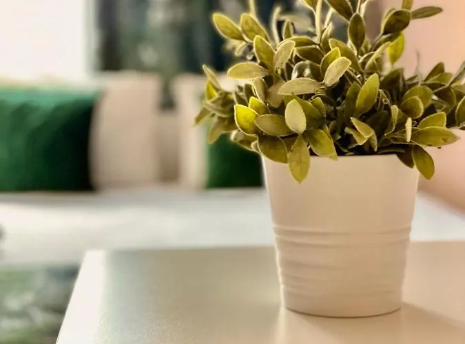 Aparthotel Backpack *